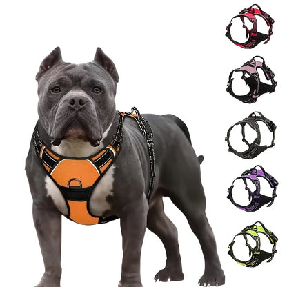 Heel Harness adjustable dog walking training vest.